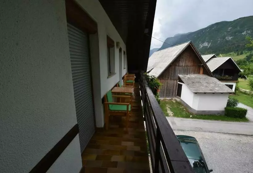 پانسیون Guest House žnidar
