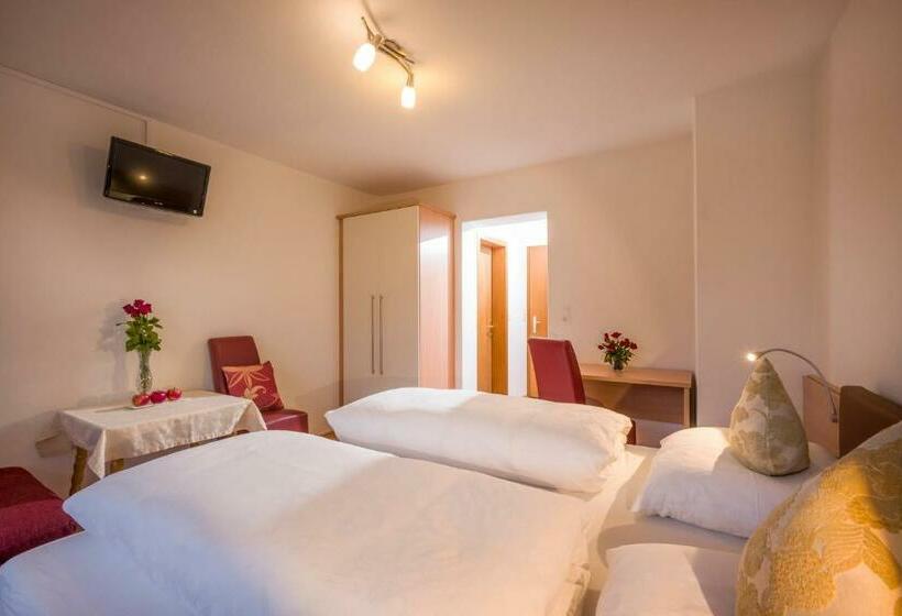 ペンション Johannishof