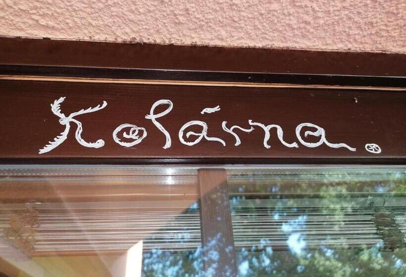 פנסיון Penzion Janata