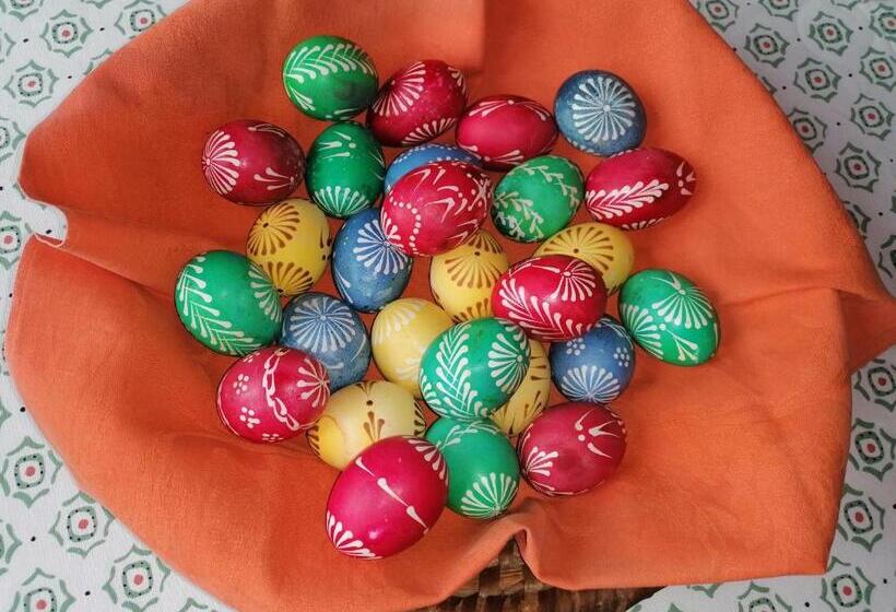 פנסיון Penzion Janata