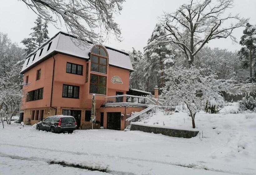 פנסיון Penzion Janata