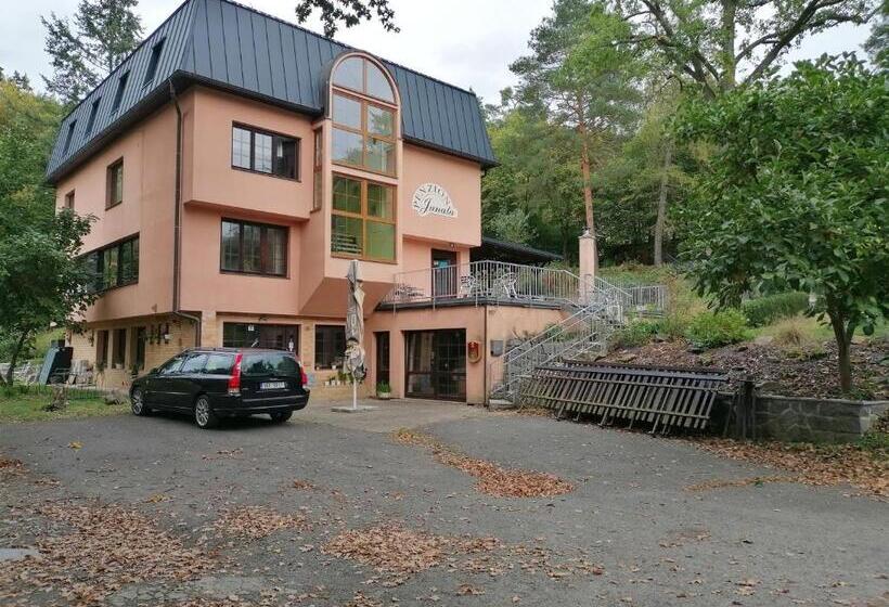 פנסיון Penzion Janata