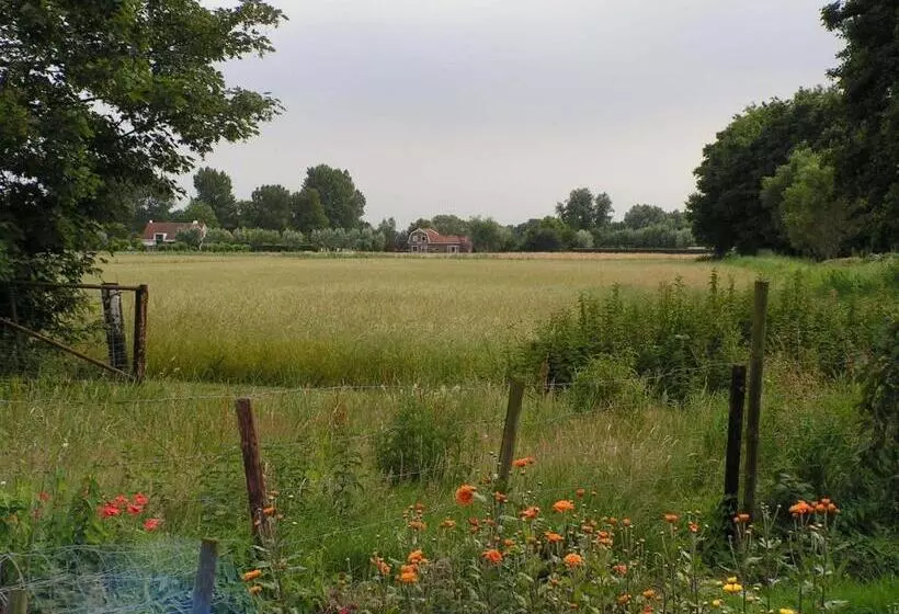 B&b Berkenrode