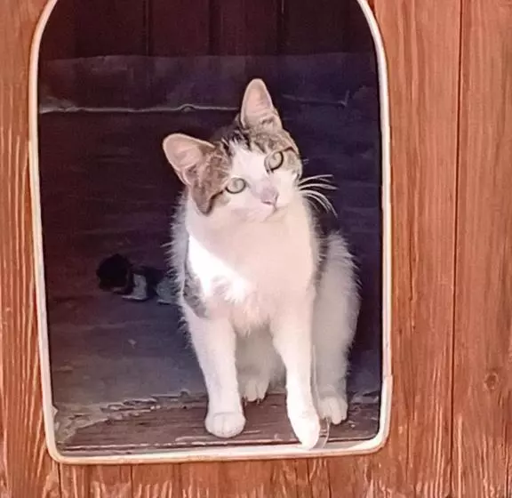 ベッドアンドブレックファースト Boscodisotto