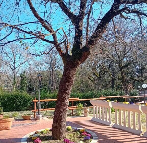 مبيت وإفطار Boscodisotto