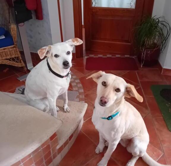 مبيت وإفطار Boscodisotto