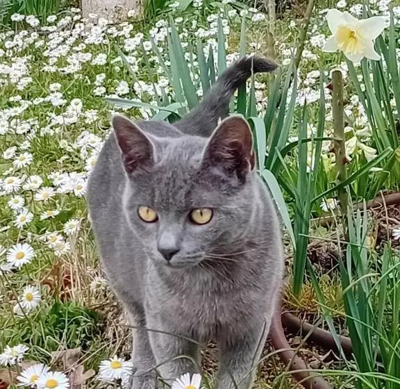 ベッドアンドブレックファースト Boscodisotto