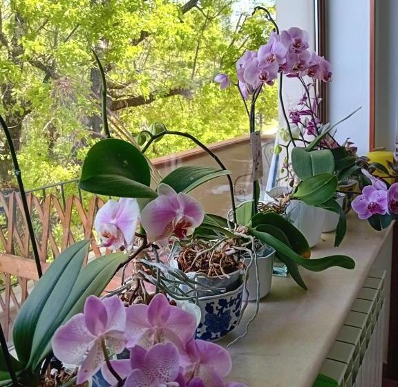 مبيت وإفطار Boscodisotto