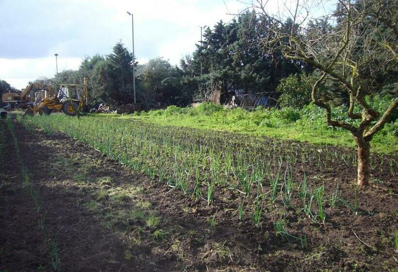 ホテル Su Barroccu