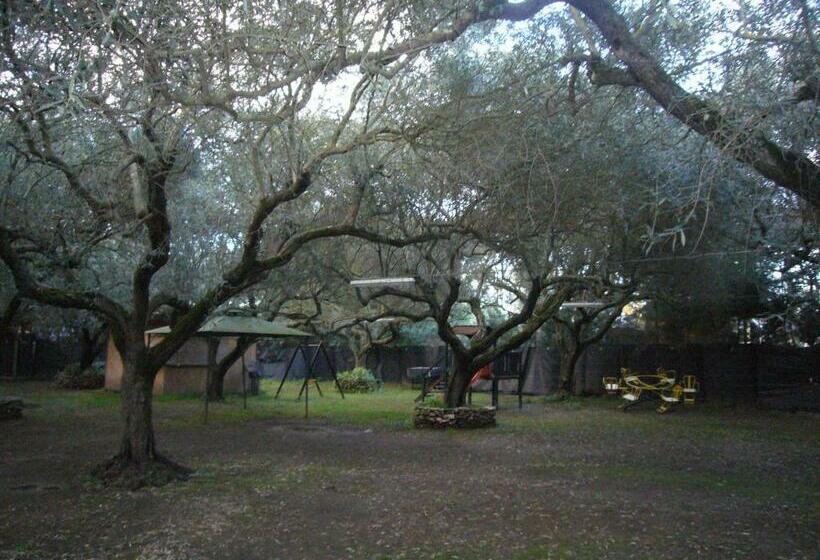 ホテル Su Barroccu