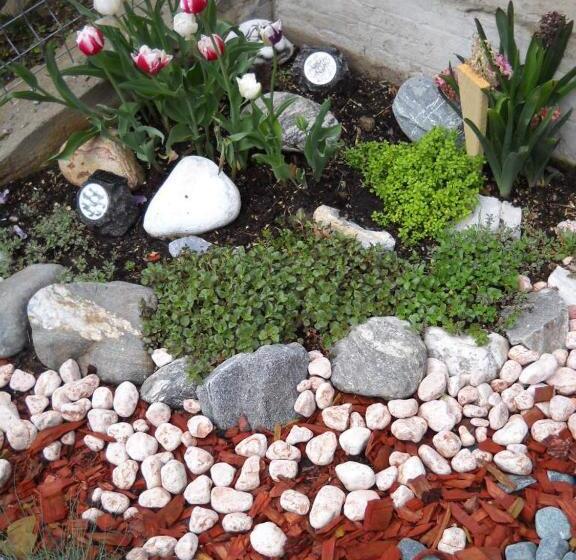 پانسیون Casa Altfel