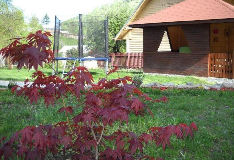 پانسیون Casa Altfel