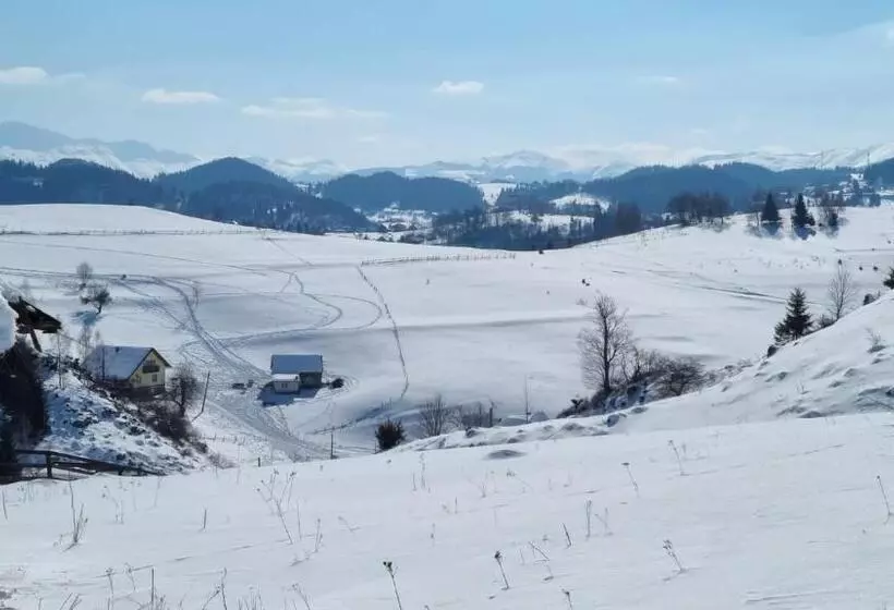 Pensiunea Crai Nou