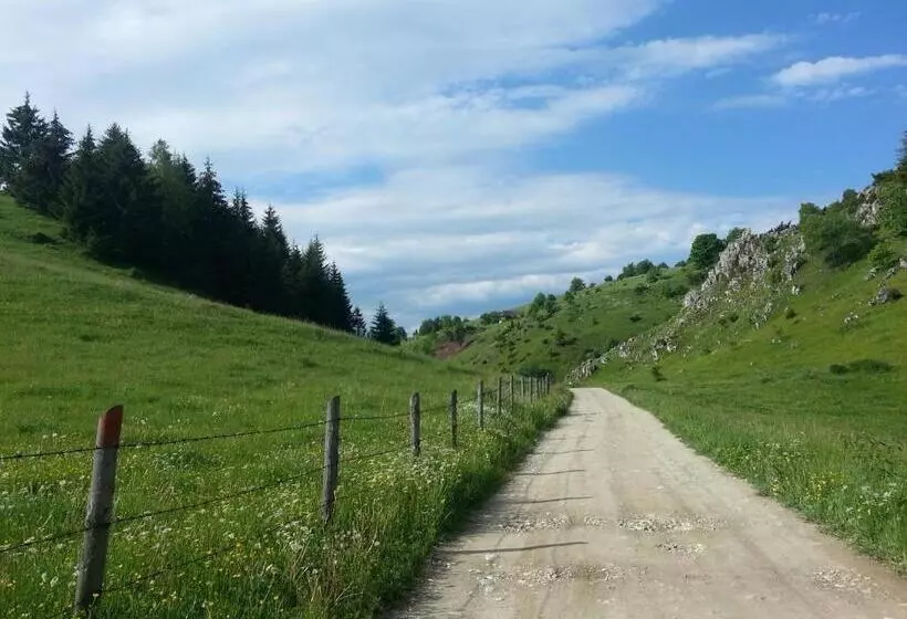 Pensiunea Crai Nou
