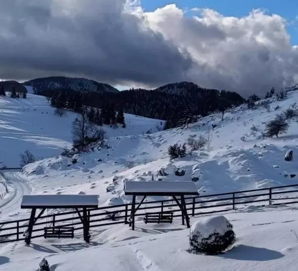 Pensiunea Crai Nou