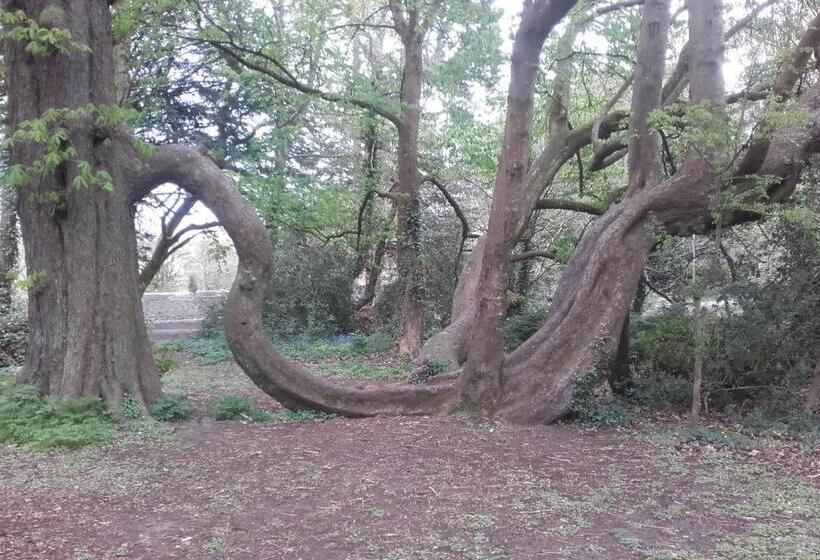 Twin Oaks Bed & Breakfast