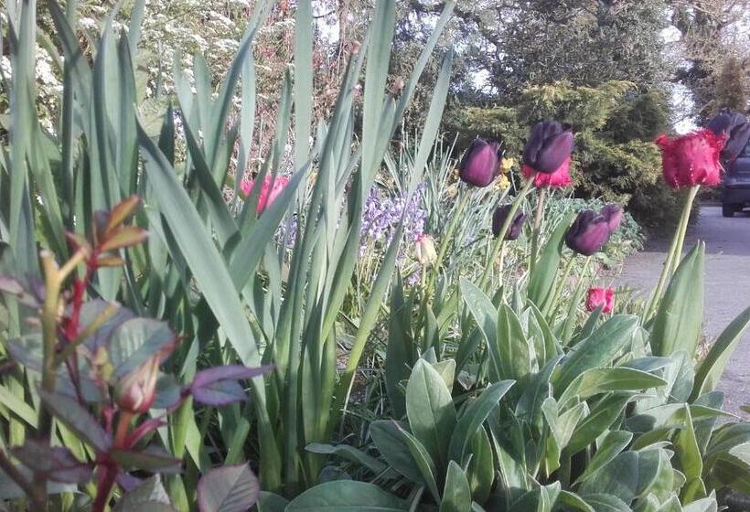 Twin Oaks Bed & Breakfast