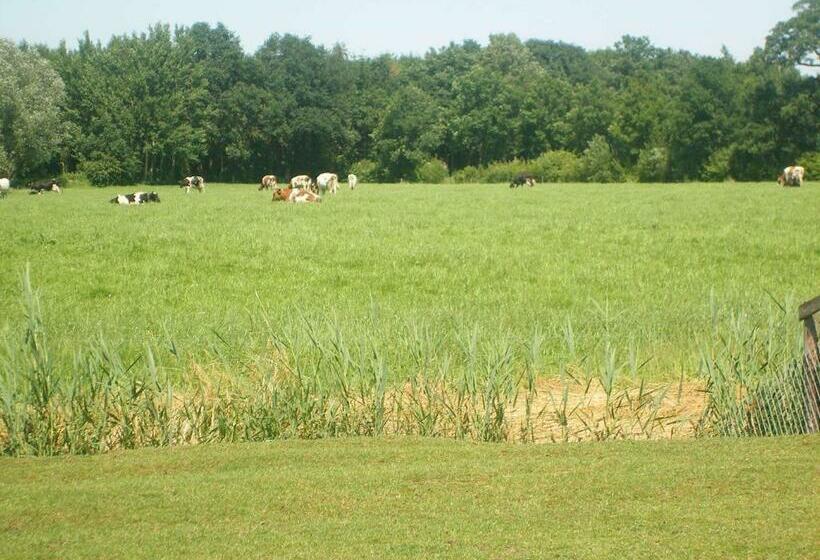 צימר Erve Dikkeboer