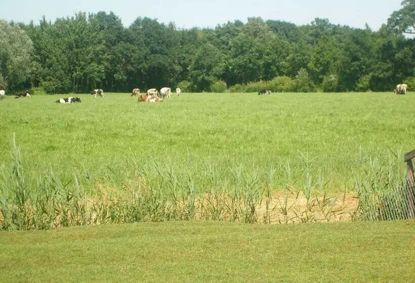 ベッドアンドブレックファースト Erve Dikkeboer