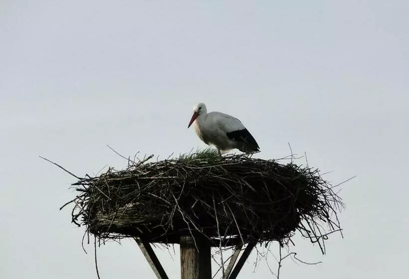 ベッドアンドブレックファースト Erve Dikkeboer