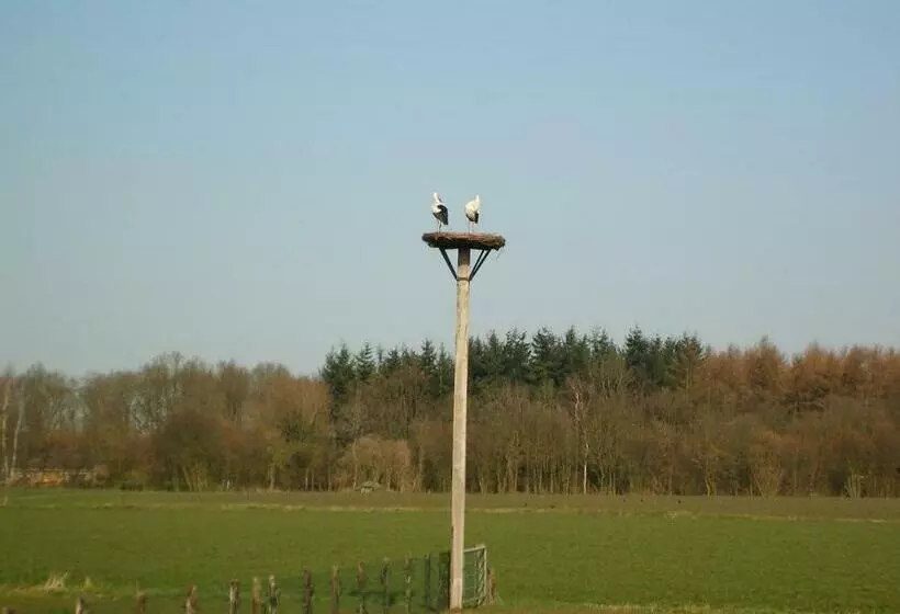 ベッドアンドブレックファースト Erve Dikkeboer