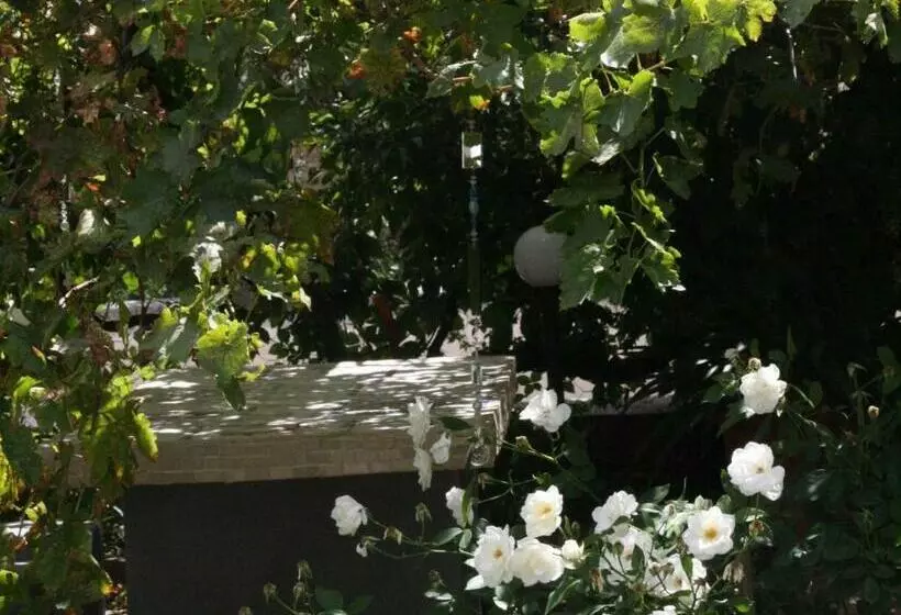 Aamiaismajoitus (B&B) Anker Guesthouse