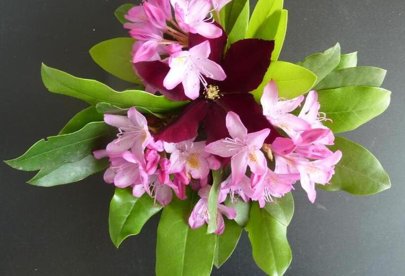 Bed and Breakfast Chambres D Hôtes Le Saleix