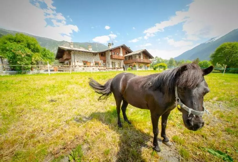 Aamiaismajoitus (B&B) Villamour Boutique Hotel & Spa