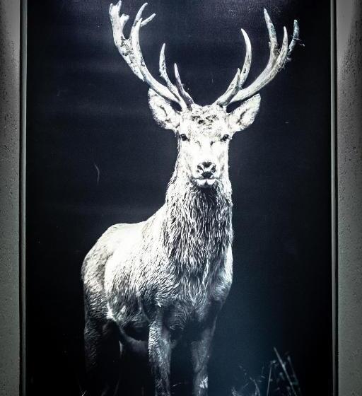 مبيت وإفطار Villamour Boutique Hotel & Spa