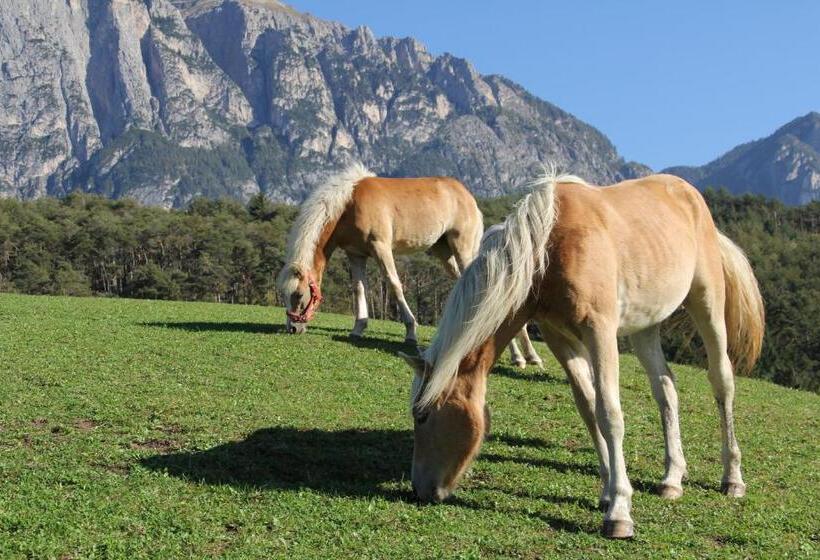 ホテル Gfliererhof