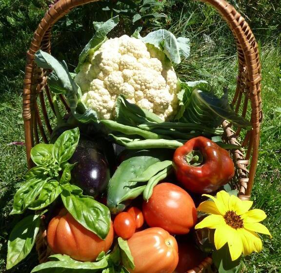 ホテル Gfliererhof