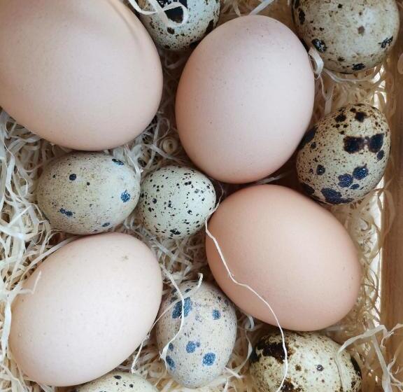 ホテル Gfliererhof