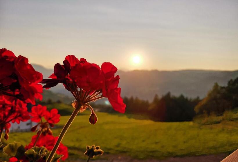 ホテル Gfliererhof