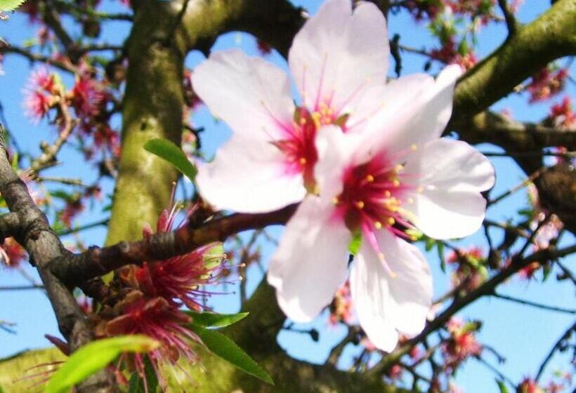 膳宿费 Gästehaus Becker