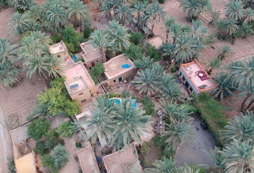 بنسيون Le Chant Des Palmiers