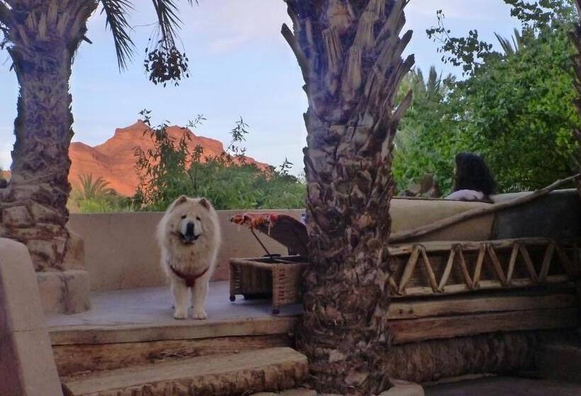 بنسيون Le Chant Des Palmiers