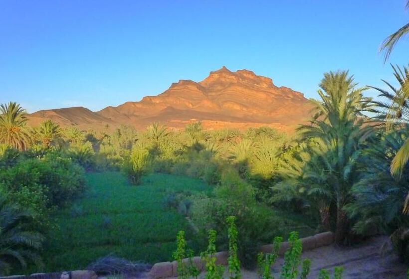 بنسيون Le Chant Des Palmiers