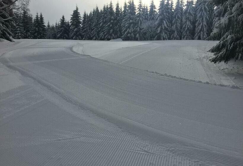 Пансион Penzion U Rybníka