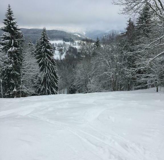 Пансион Penzion U Rybníka