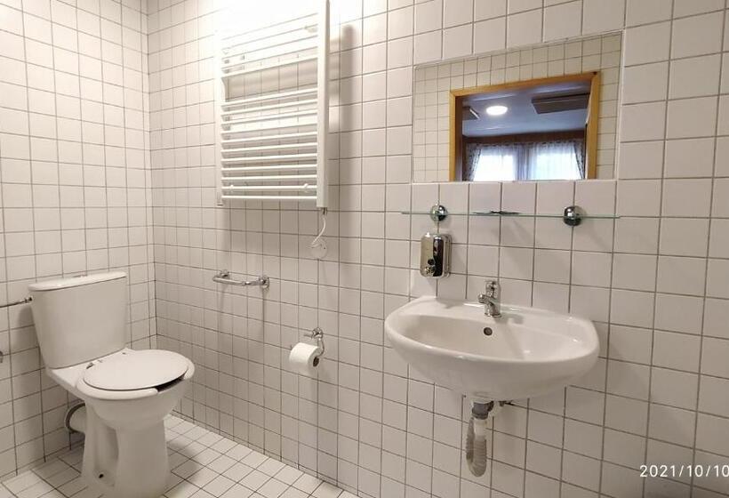 Пансион Penzion U Rybníka