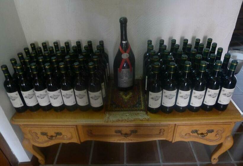 B&b De Kleine Wijngaard