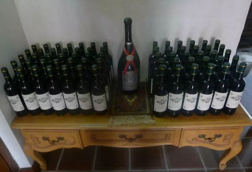 B&b De Kleine Wijngaard