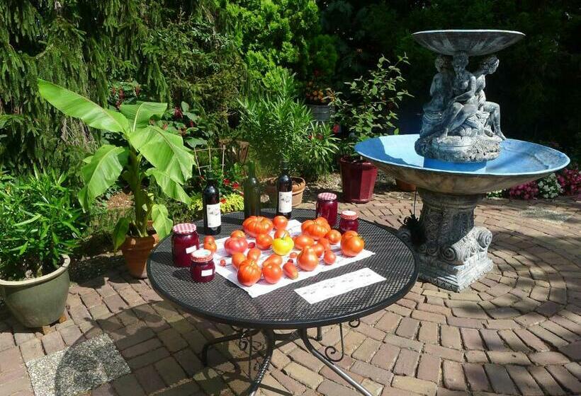 B&b De Kleine Wijngaard