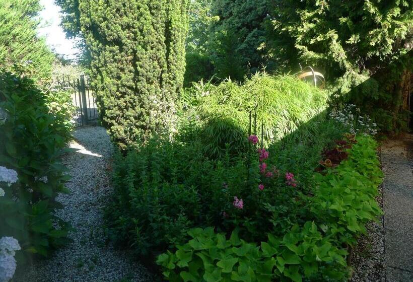 B&b De Kleine Wijngaard