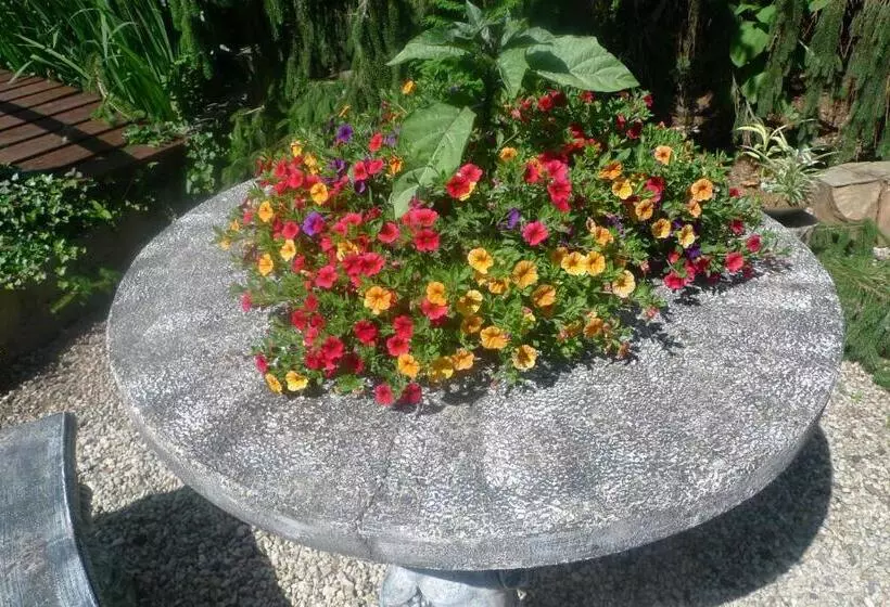 B&b De Kleine Wijngaard