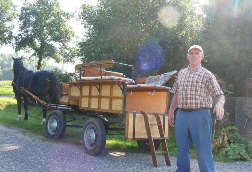 ベッドアンドブレックファースト De Hoge Peel