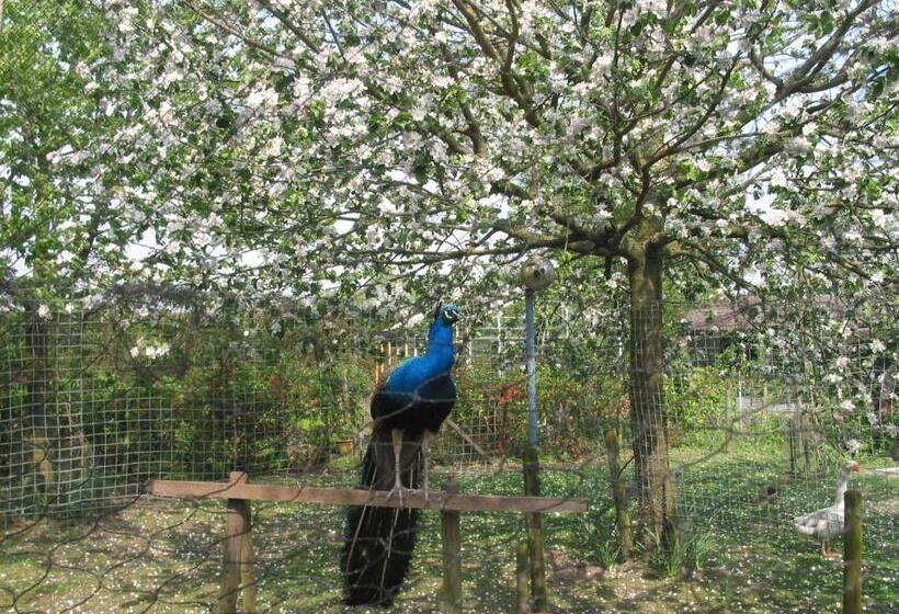 ベッドアンドブレックファースト De Hoge Peel