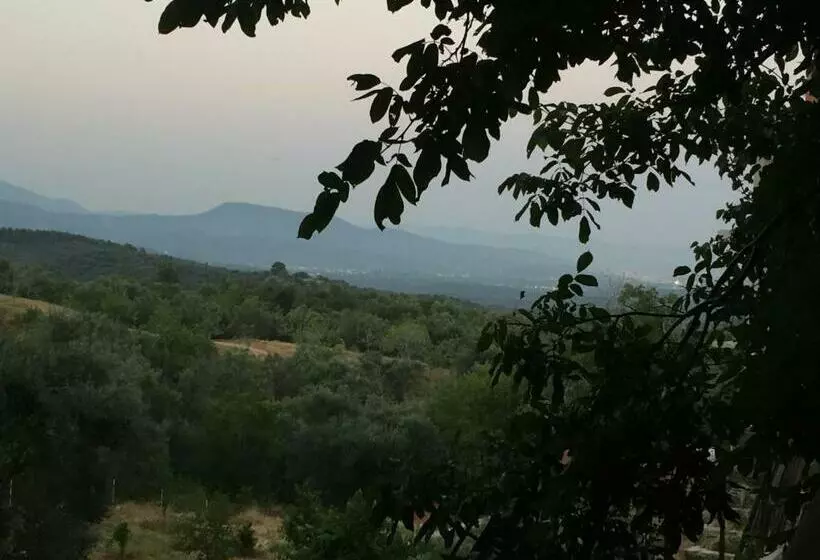 Aamiaismajoitus (B&B) Konak Lapeistra