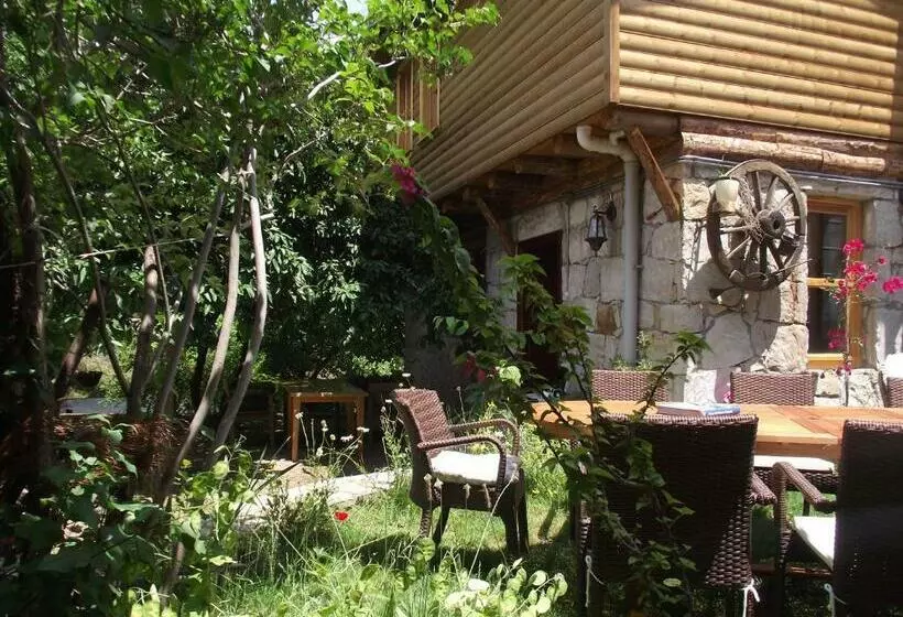 Aamiaismajoitus (B&B) Konak Lapeistra