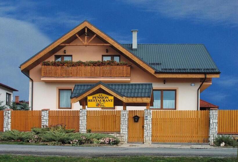 住宿加早餐 Penzión Vila Petra Bed&breakfast